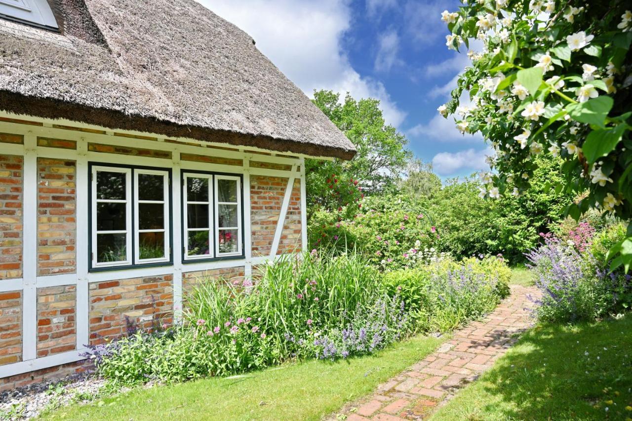 Landhaus Vilmnitz - Wohnung 9 Eksteriør billede