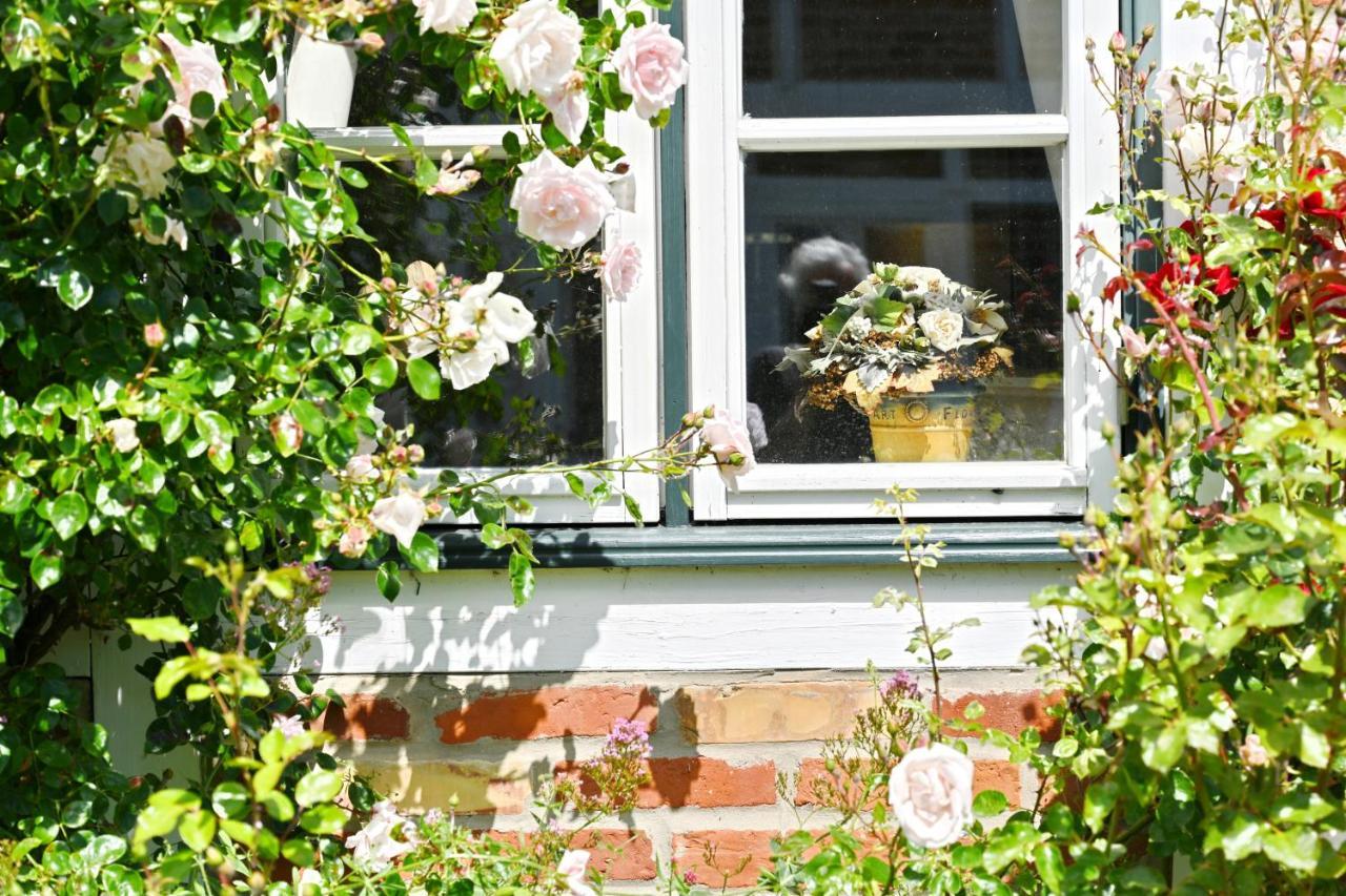 Landhaus Vilmnitz - Wohnung 9 Eksteriør billede