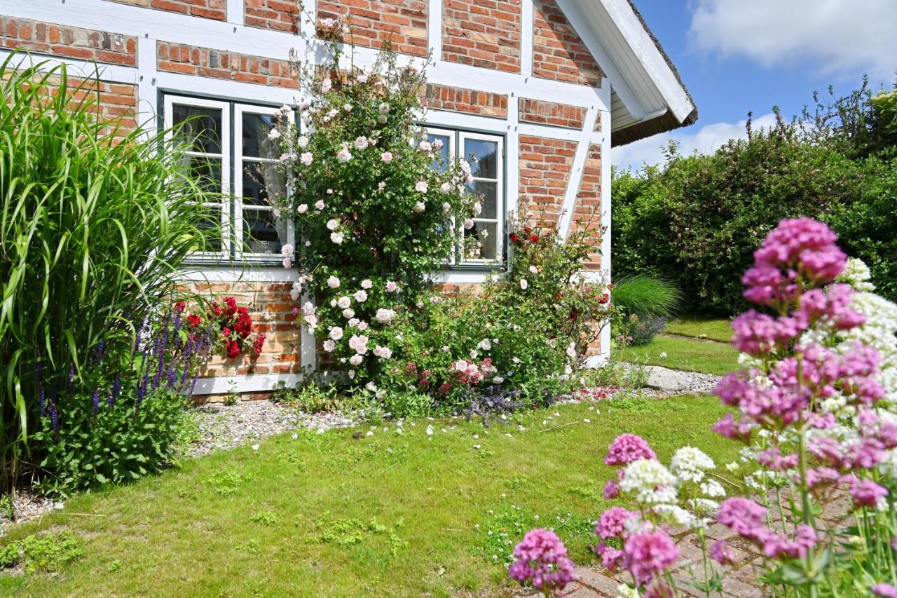 Landhaus Vilmnitz - Wohnung 9 Eksteriør billede